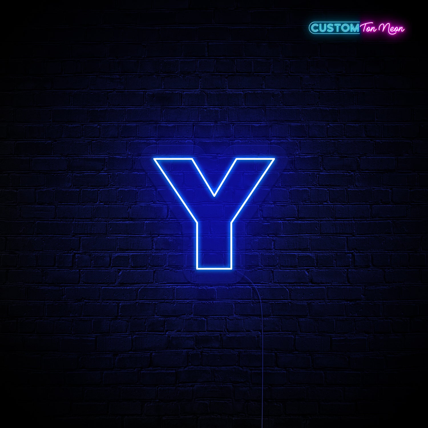 Enseigne néon Lettre Y