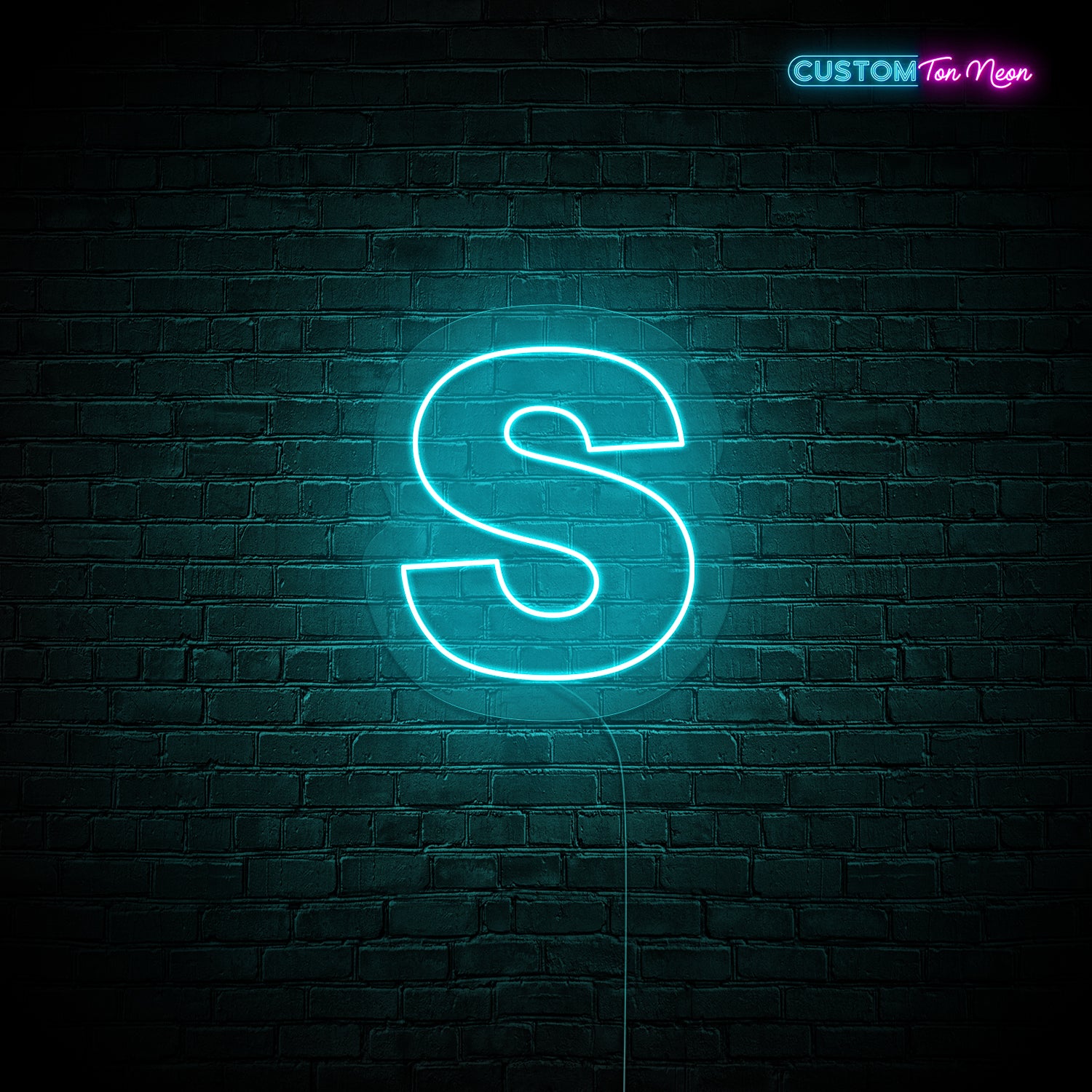 Enseigne néon Lettre S