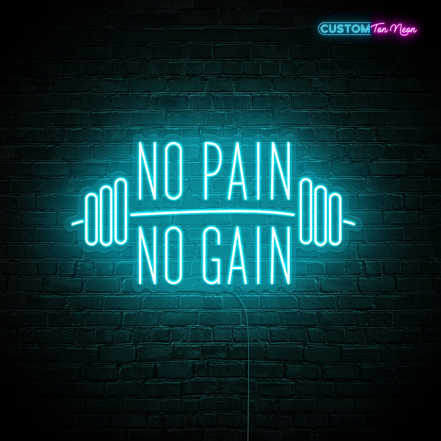 Enseigne néon No pain no gain
