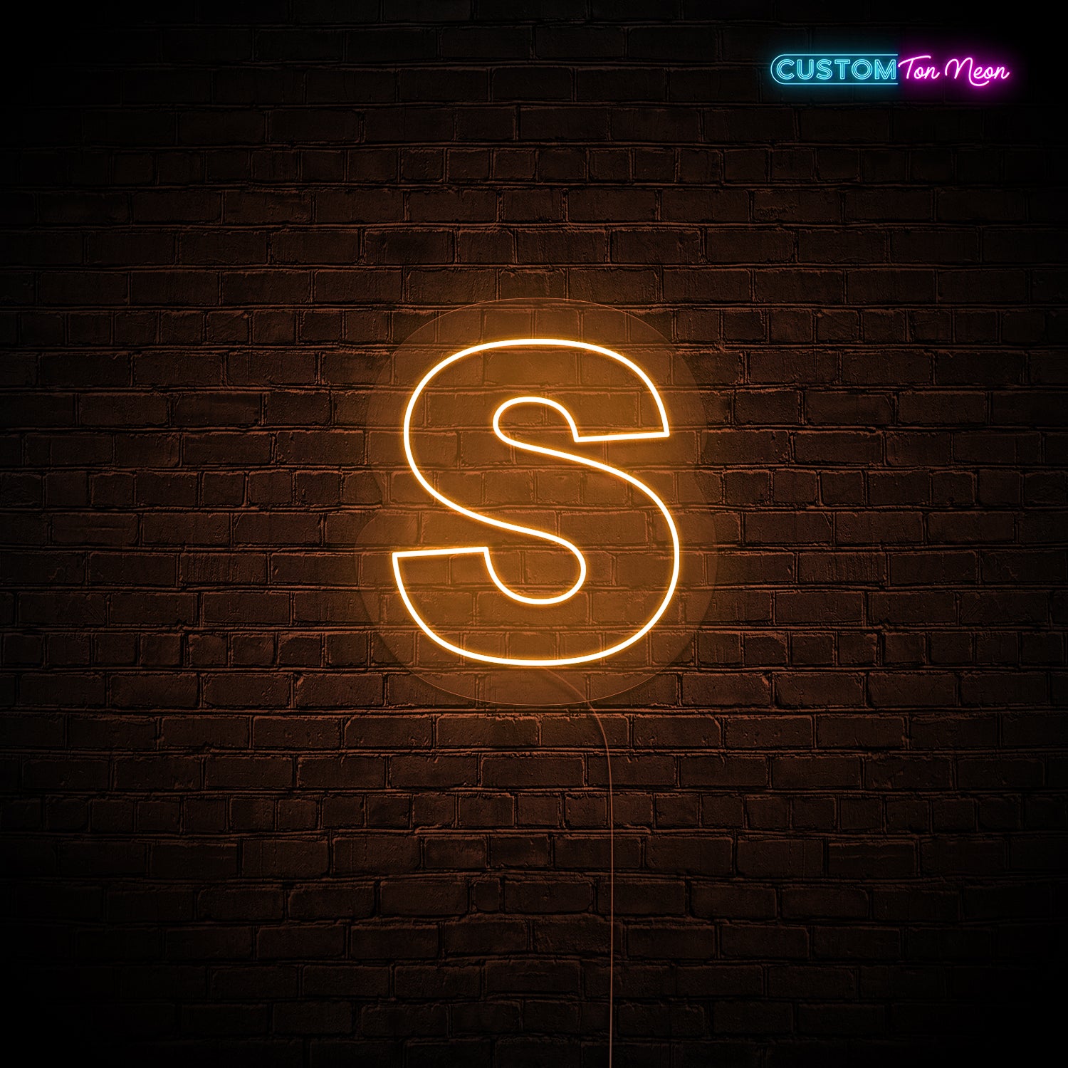 Enseigne néon Lettre S