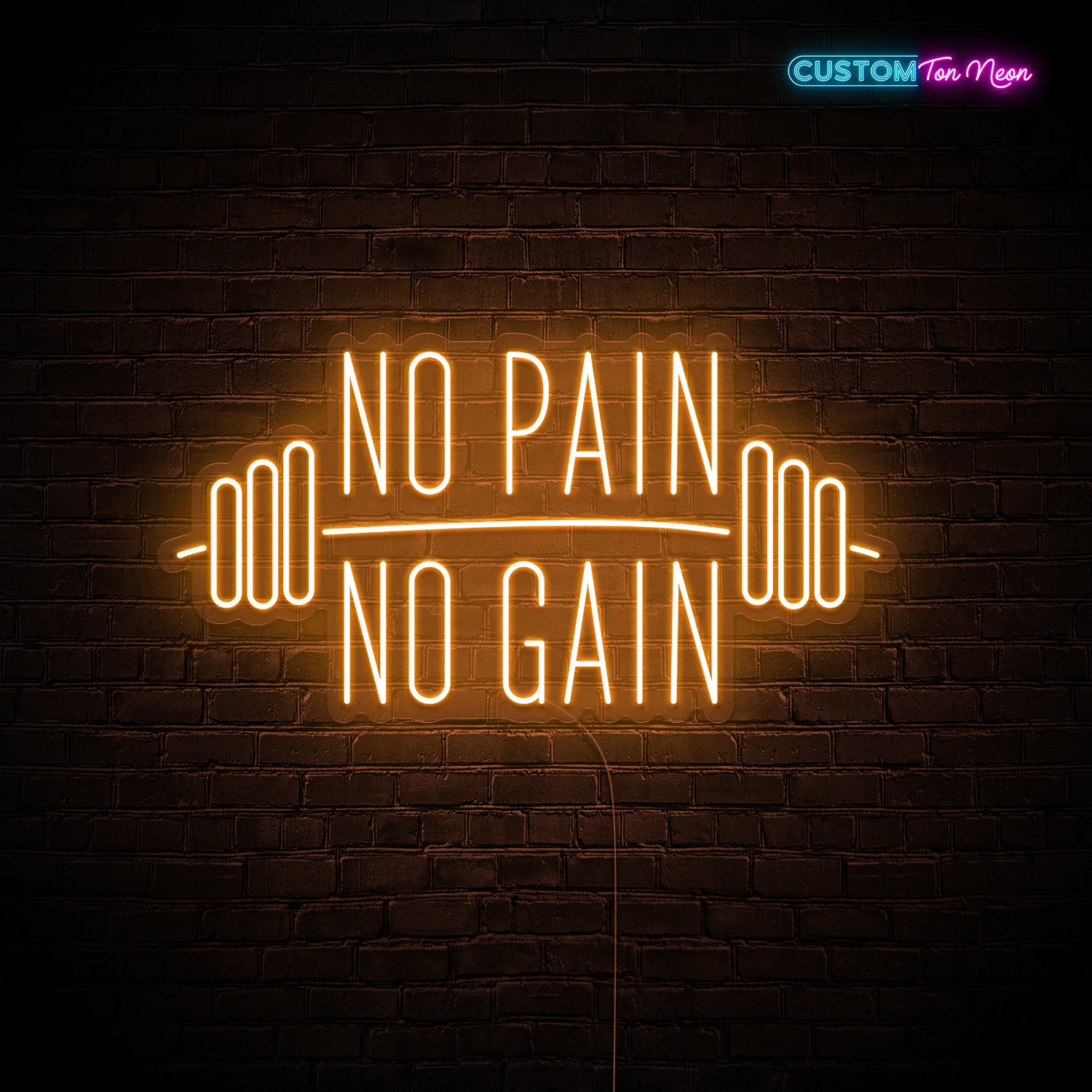 Enseigne néon No pain no gain