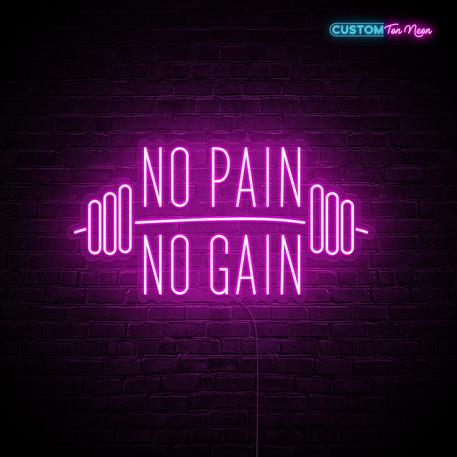 Enseigne néon No pain no gain