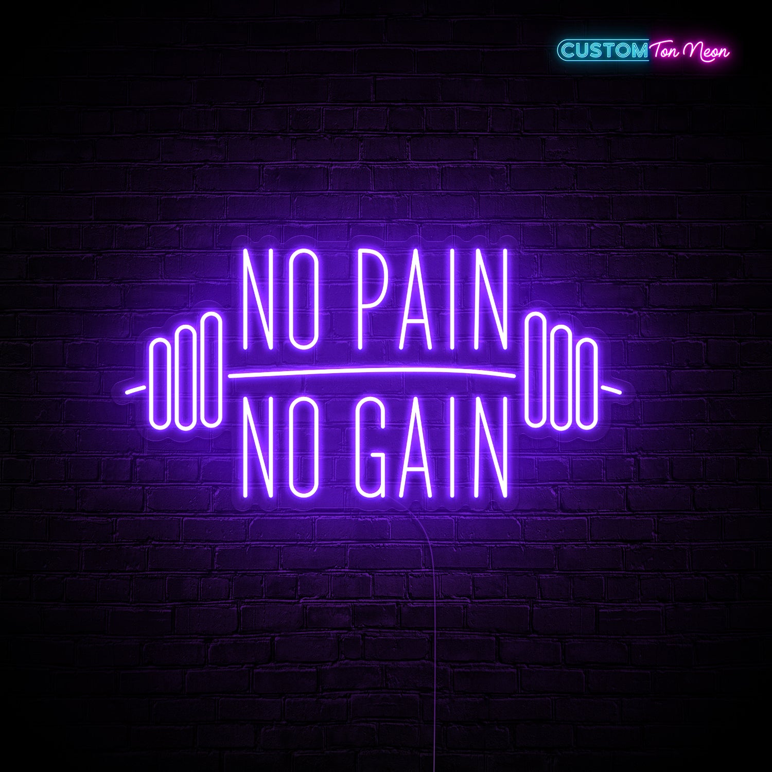 Enseigne néon No pain no gain