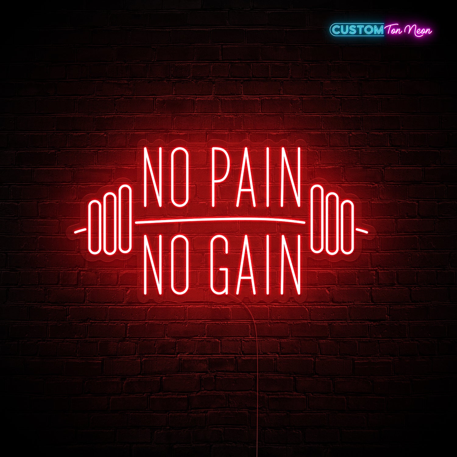 Enseigne néon No pain no gain