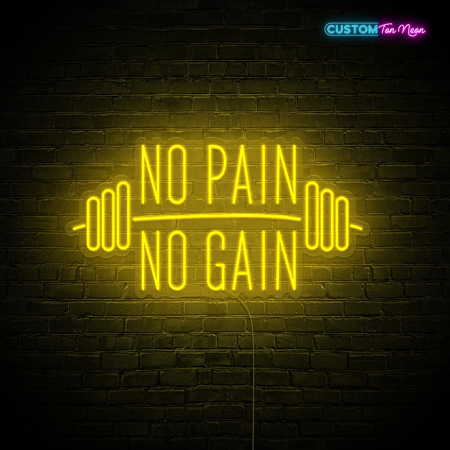 Enseigne néon No pain no gain