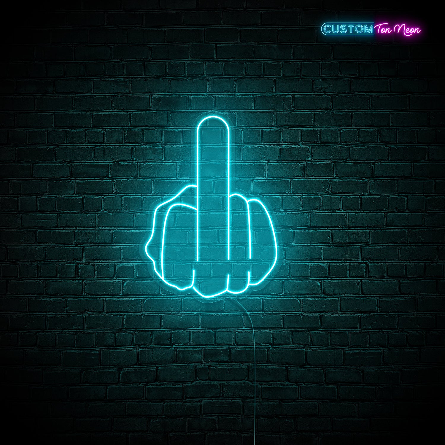 Enseigne néon doigt d'honneur