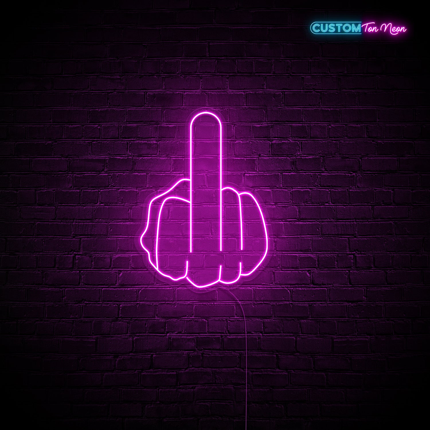 Enseigne néon doigt d'honneur