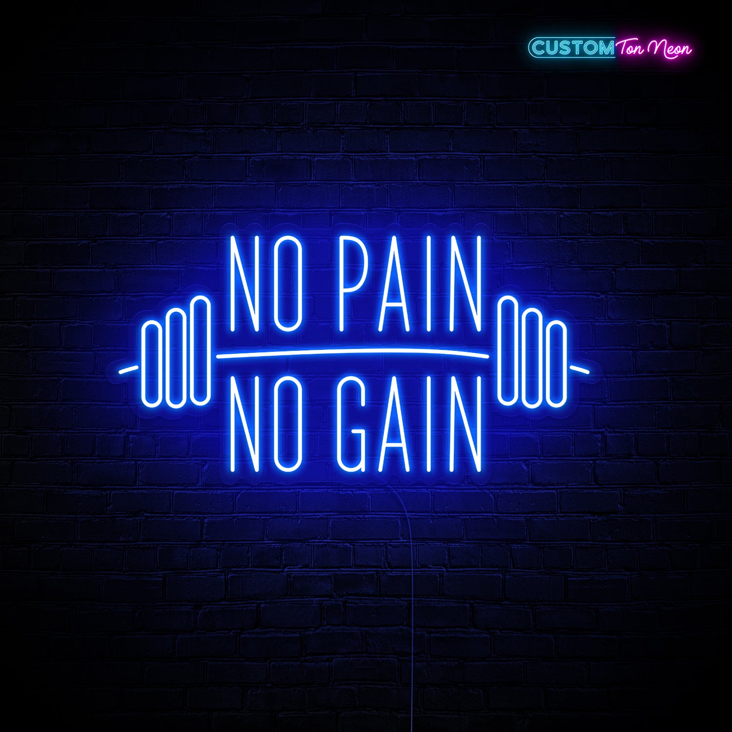 Enseigne néon No pain no gain